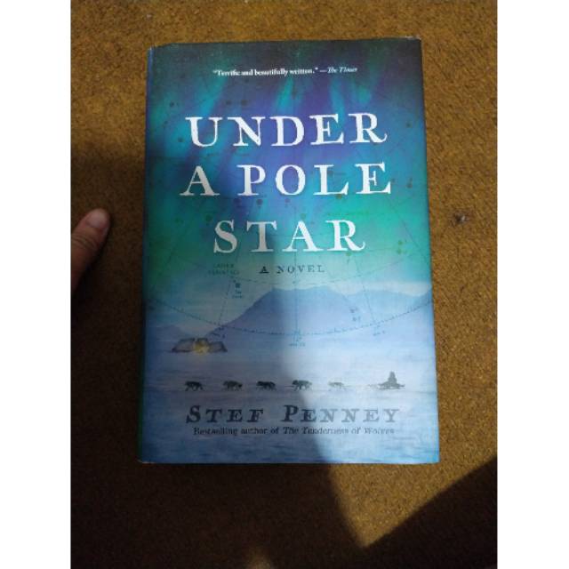 Under a Pole Star by Stef Penney