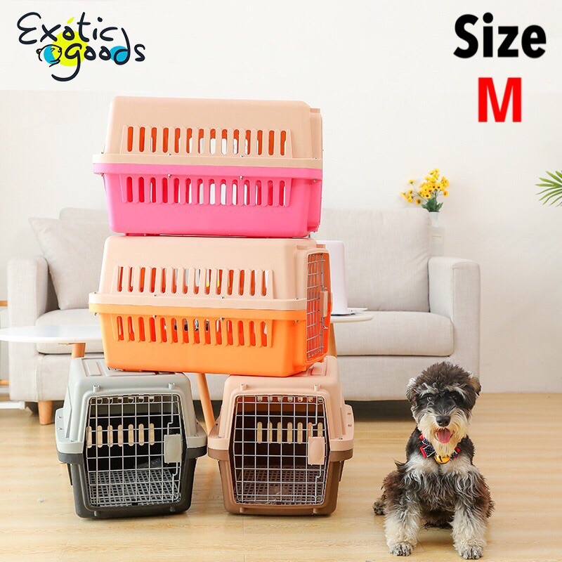PET CARGO SIZE M 58cm x 37cm x 37cm PET KARGO ANJING PET KARGO KUCING TRAVEL CARGO KUCING ANJING TRA