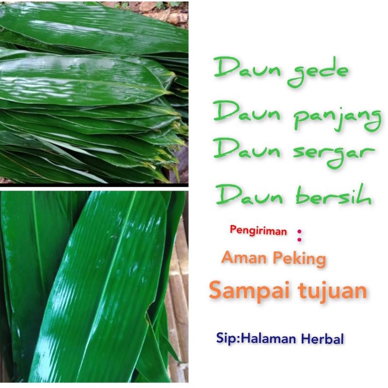 

Daun bungkus bacang/500 gram