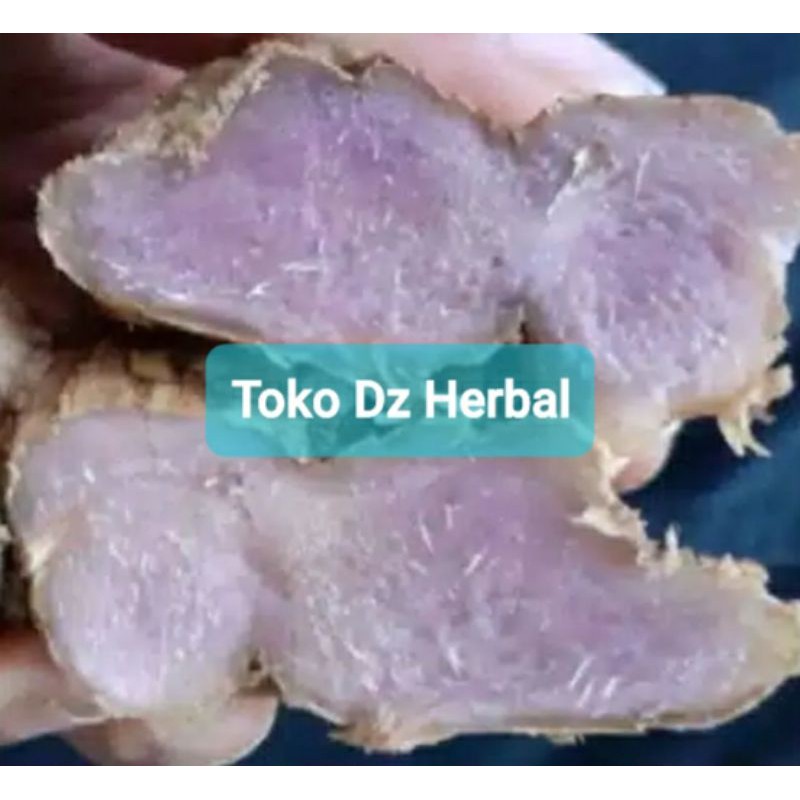 

Rimpang bangle hitam panglai hitam segar 200 gram-az