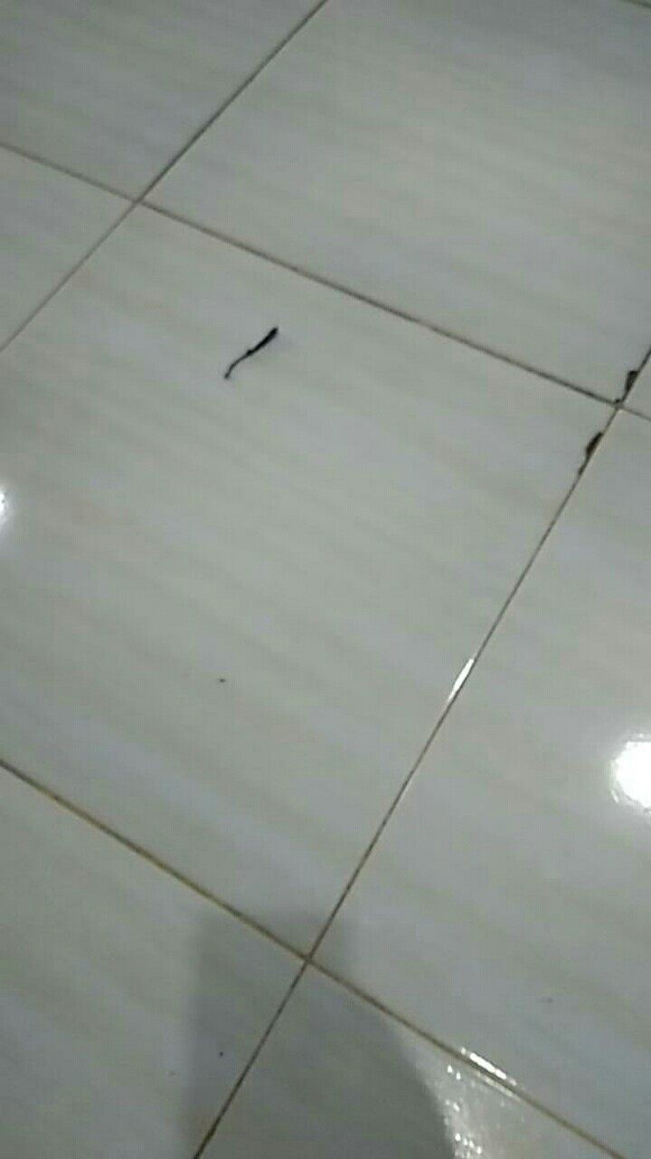 Set Sarung Bantal Sofa+taplak Meja