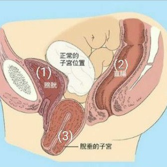 

Foshan Resep Herbal Pengobatan Peranakan Turun Manjurnya Luar biasa