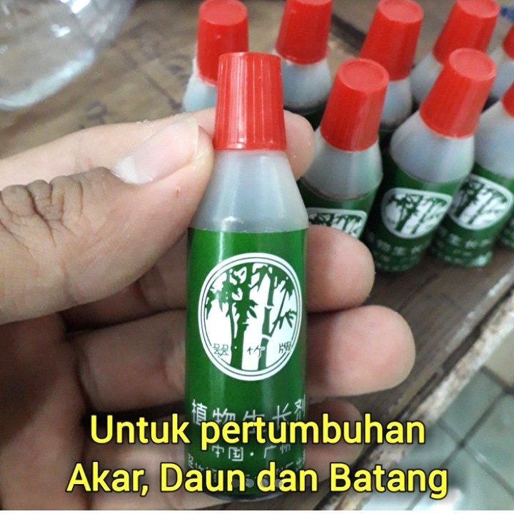 Pupuk Cair Bambu Ijo, Zat percepatan tumbuh tanaman