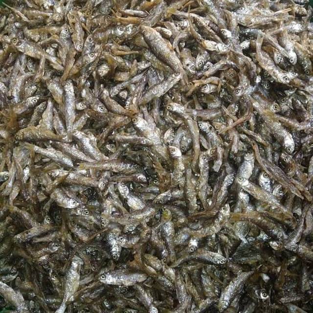 

Ikan Bilih 1kg