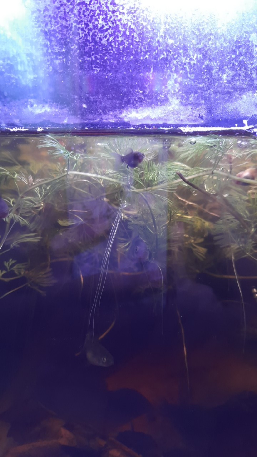 Sok Kuningan Sok Drat Luar Dalam Panjang Kuningan 1 2 Inch