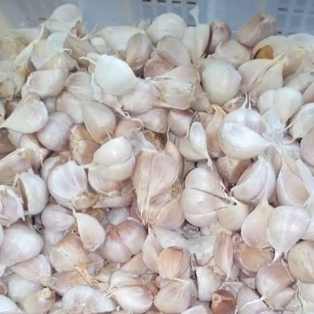 

Bawang Putih kating Bersih Berat 250gr