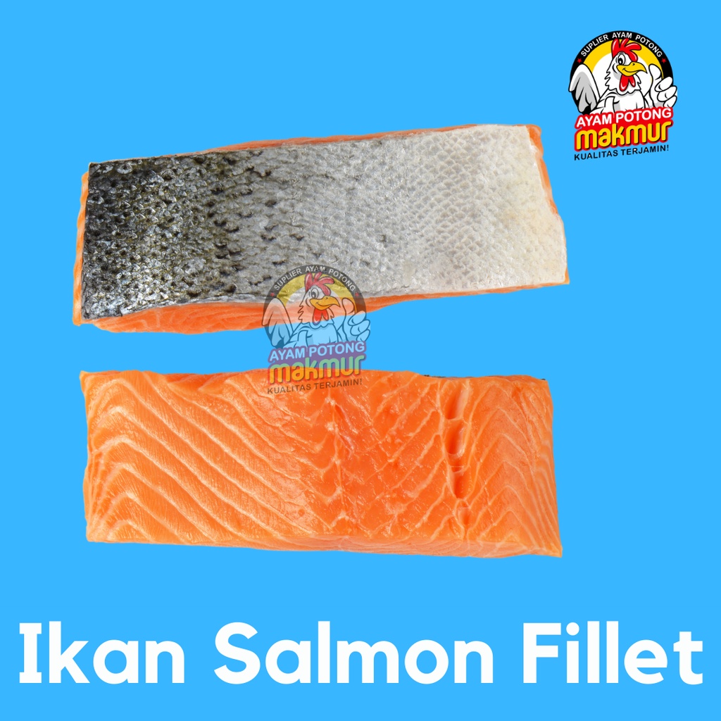 

Salmon Fillet 100 Gram