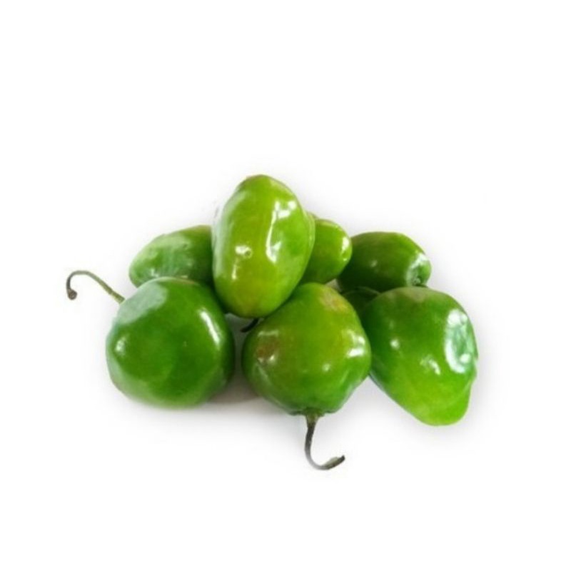 CABE GENDOT SEGAR