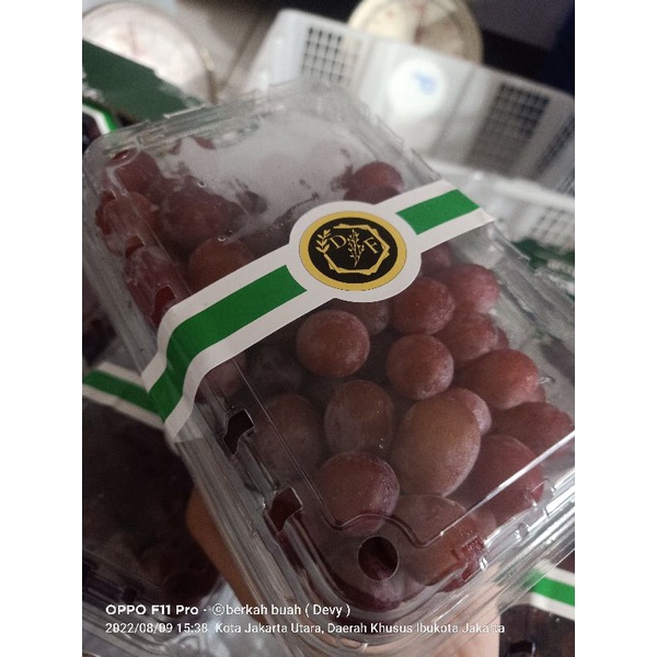 

anggur red non biji crimson