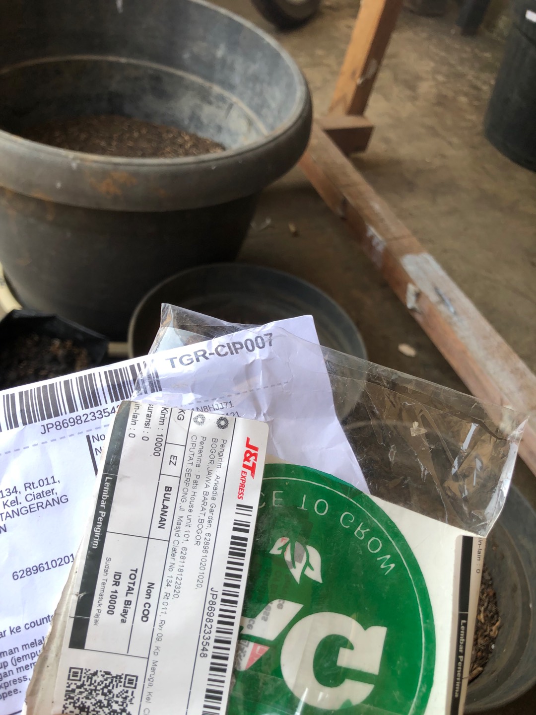 200 Biji Bunga Foxglove Excelsior Mix Digitalis Purpurea Flower Benih