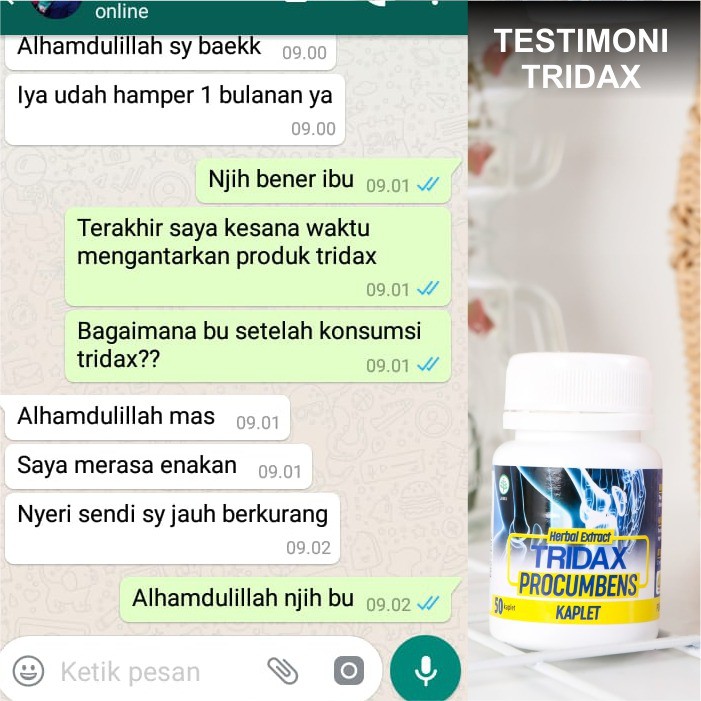 (BISA COD) Tridax Procumbens Kaplet | Untuk Asam Urat, Pegal Linu, Nyeri sendi dan Encok