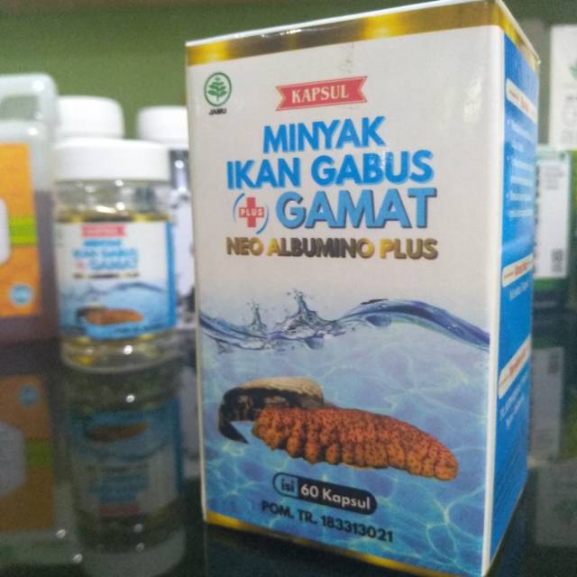Minyak ikan gabus plus gamat Neo albumin