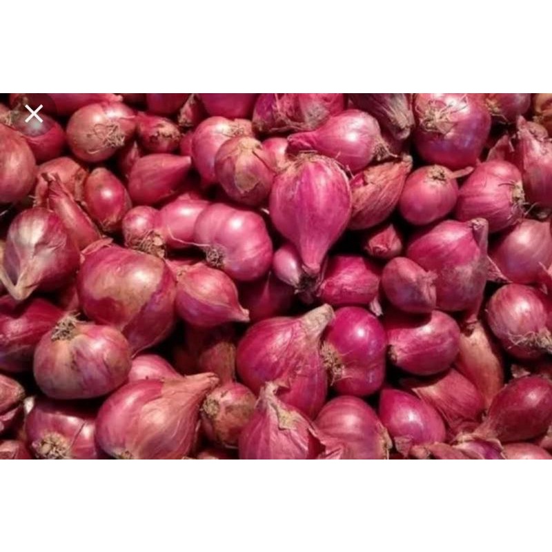 

Bawang merah freshbox murah meriah