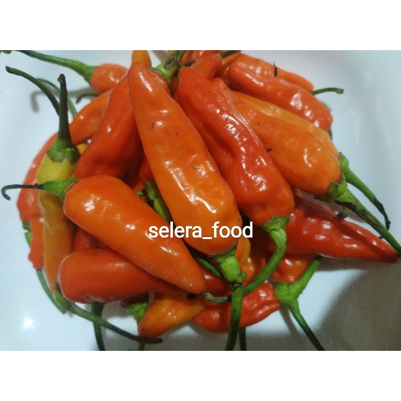 

CABE RAWIT di vakum