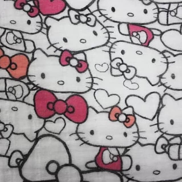 aden and anais hello kitty