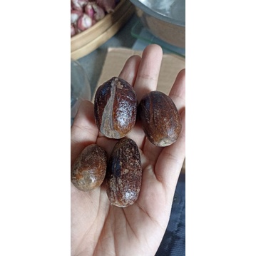 

Pala bumbu masak