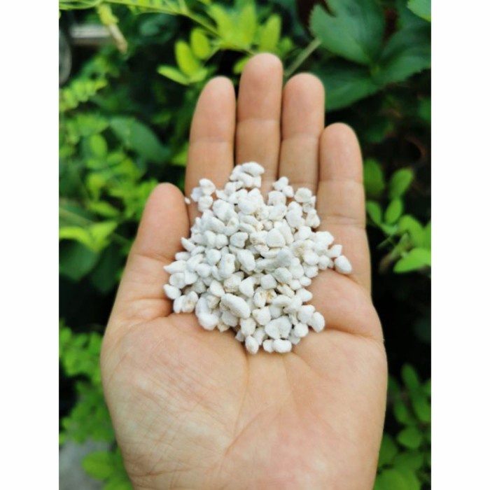 Media Tanam Perlite