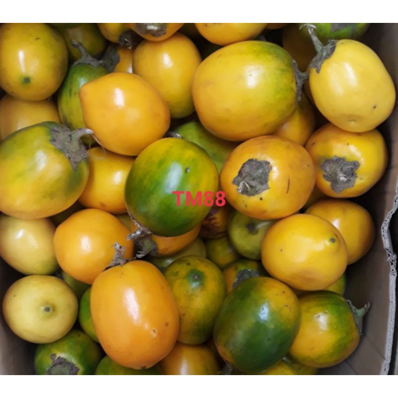 

TERONG ASAM PONTIANAK/TERONG ASAM