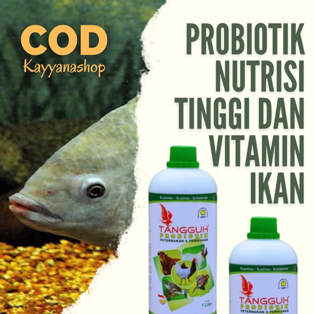 Nutrisi Ikan Lele Nila Bawal Mas Patin Gurame Tawes Probiotik Organik Vitamin Perikanan Kolam Terpal