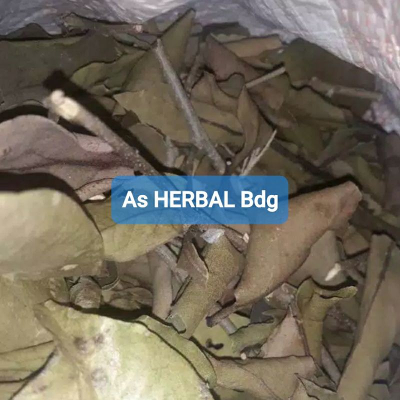 

Benalu Cengkeh Kering 500 gram natural-az