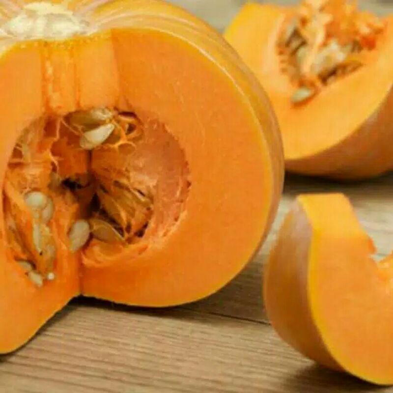 biji labu kuning unggul /5biji