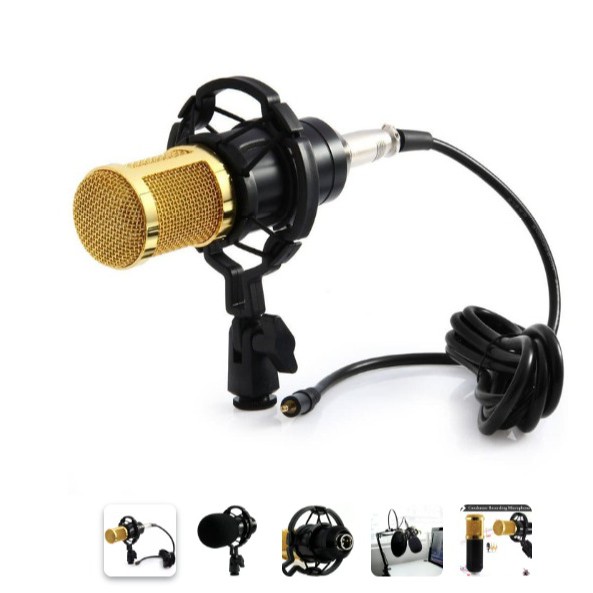 BM-800 Professional Condenser Microphone