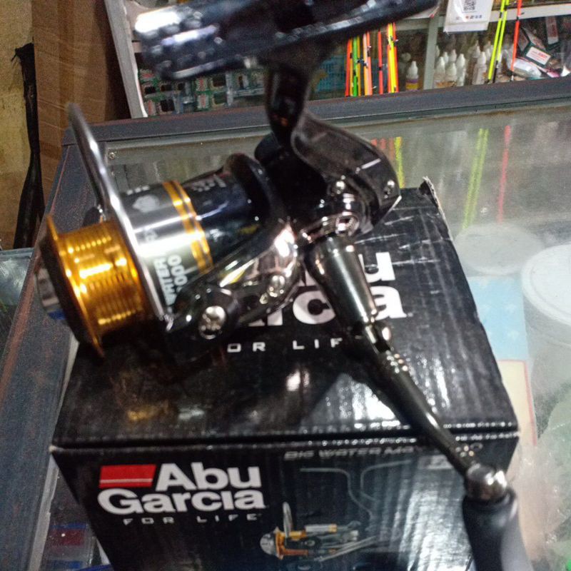 reel abugarcia bigwater 2000