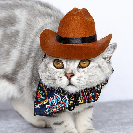 Topi Kucing Anjing Lucu Stylish Menjadikan Tampilan Hewan Peliharaan Lebih Menarik dan Fashionable FEFARM