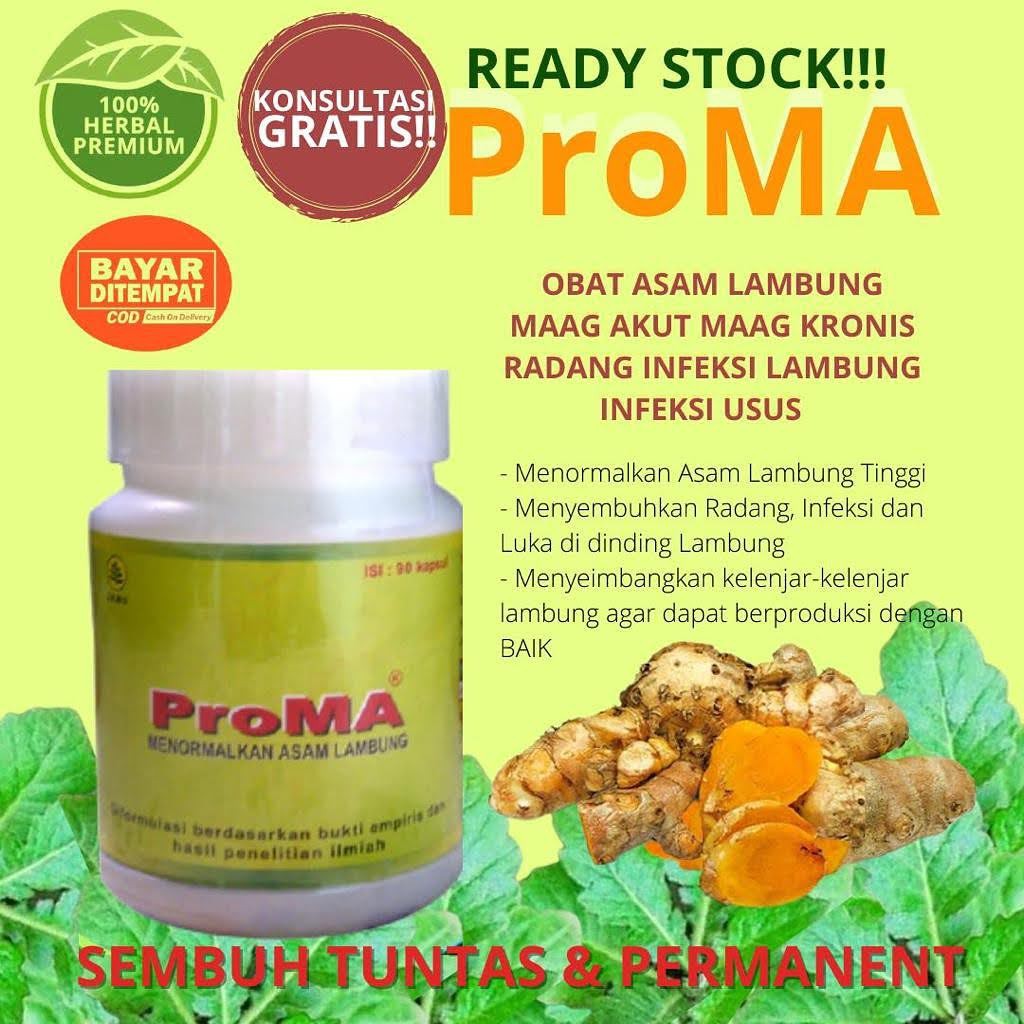 Obat Asam Lambung Maag Akut Maag Kronis Radang Infeksi Lambung Infeksi Usus, ProMA Original THE BEST