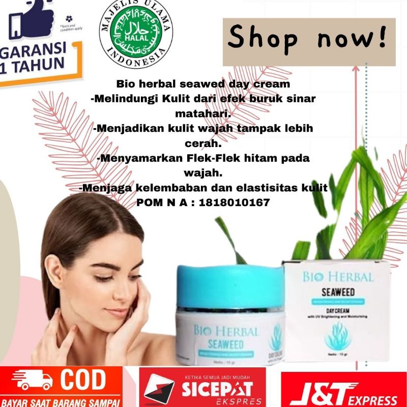 bio herbal seawed cream pencerah wajah perawatan wajah herbal alami seawed  bio herbal cream anti fl