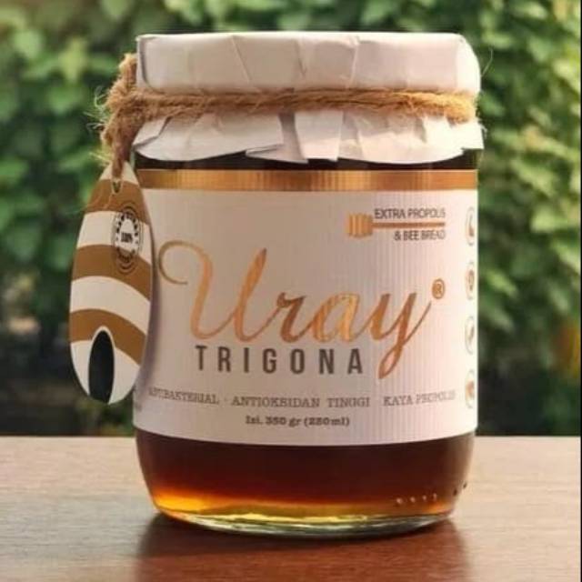

Madu Trigona 350 gr