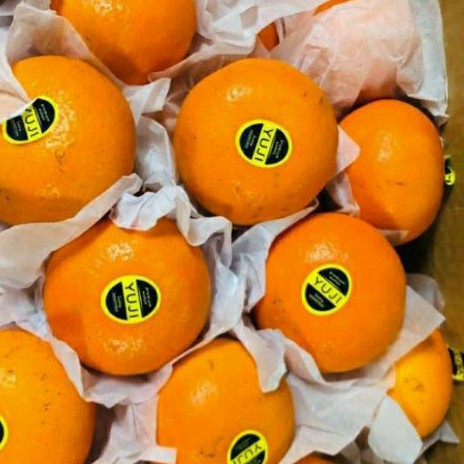 

JERUK WOKAM MANDARIN YUJI PER BOX