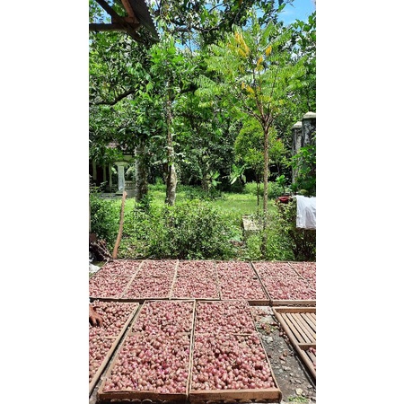 

Bawang Merah