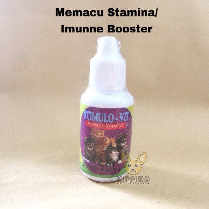Suplemen Vitamin Untuk Memacu Meningkatkan Stamina Kucing Anjing