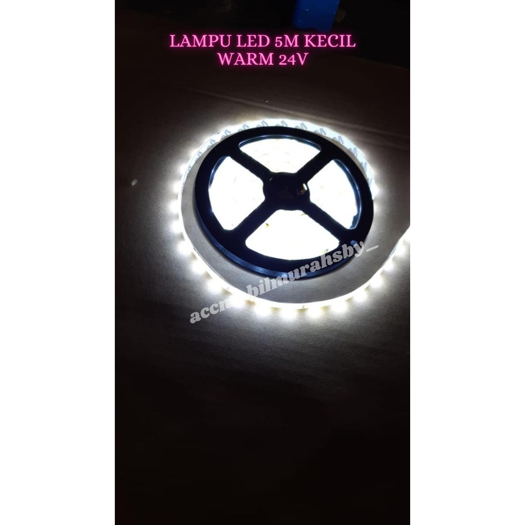 Led Strip Kecil 24v Waterproof Led 5 Meter