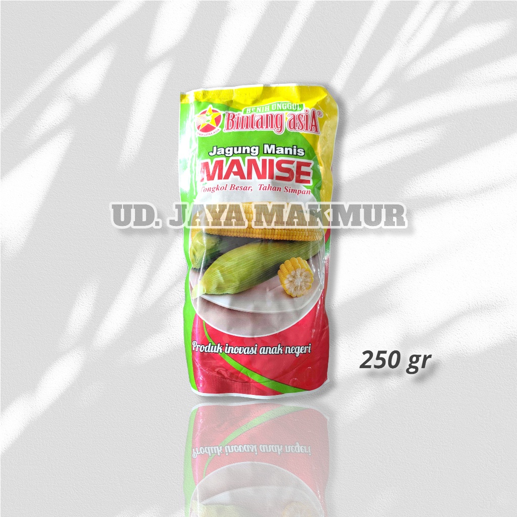 BIBIT JAGUNG MANIS MANISE / BENIH JAGUNG MANIS MANISE BINTANG ASIA