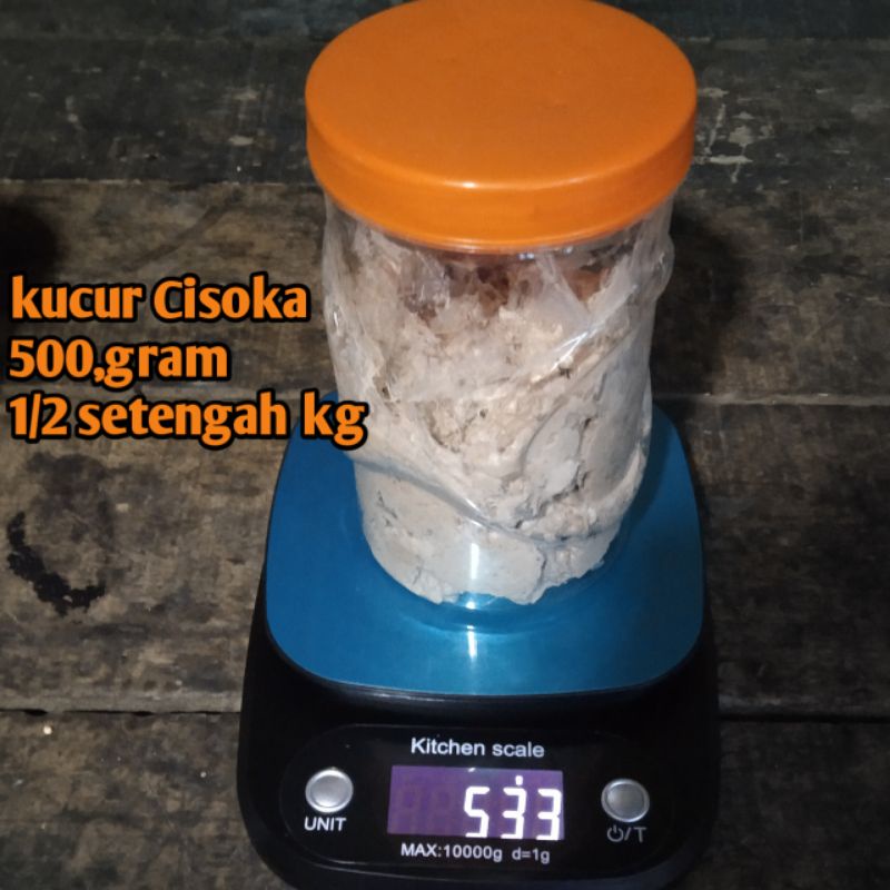 umpan kucur spesial ikan baung