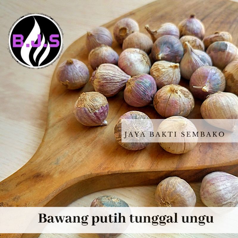 

bawang putih tunggal lanang ungu kecil 1kg