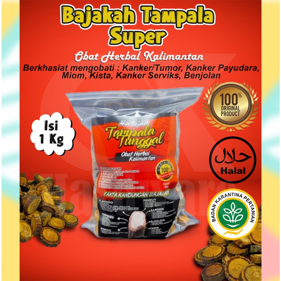 

Jual Obat Herbal Akar Kayu Bajakah Tampala Original Asli Kalimantan 1 kg harga termurah