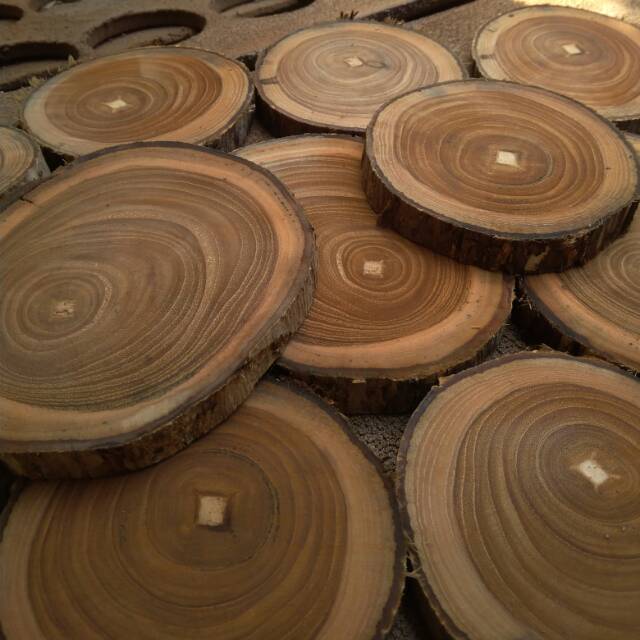 Wood slice potongan kayu  jati diameter 14 15 cm teak 