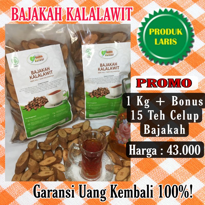 

Akar bajakah kalalawit merah 1kg kayu asli kalimantan