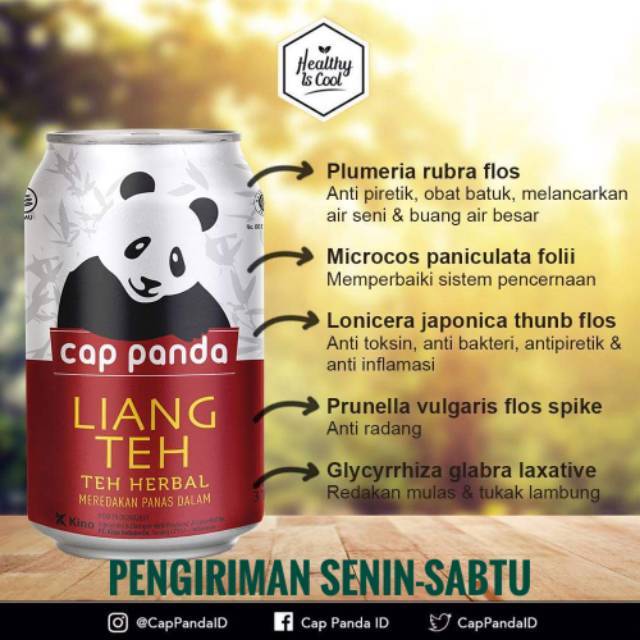 Liang teh cap panda
