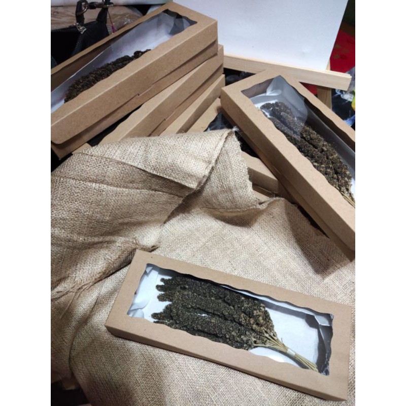 Jewawut hitam millet spray pakan burung setaria italica