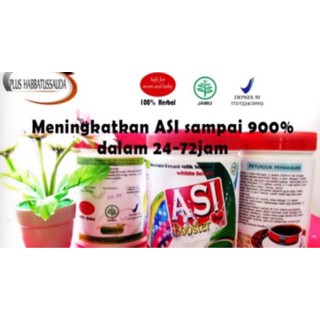 

PROMO ASI Booster Tea