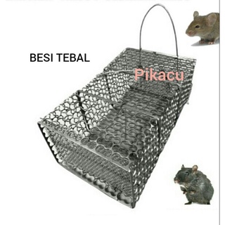 Jebakan tikus besi / Perangkap tikus besi
