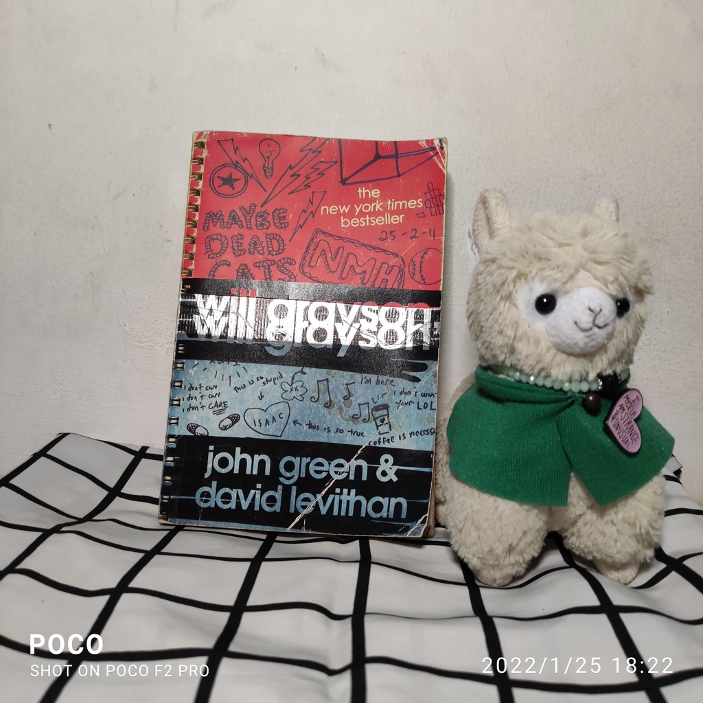 Novel Will Grayson, Will Grayson