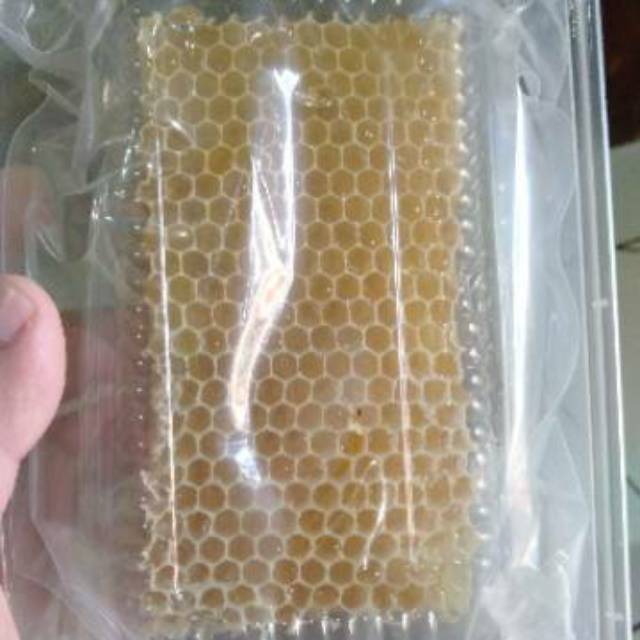 

sarang madu murni