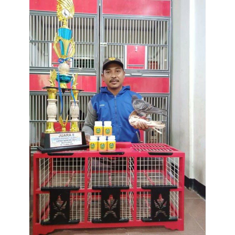 JAMU MERPATI PERFECT POWER JAMU MERPATI TINGGI isi 100 butir