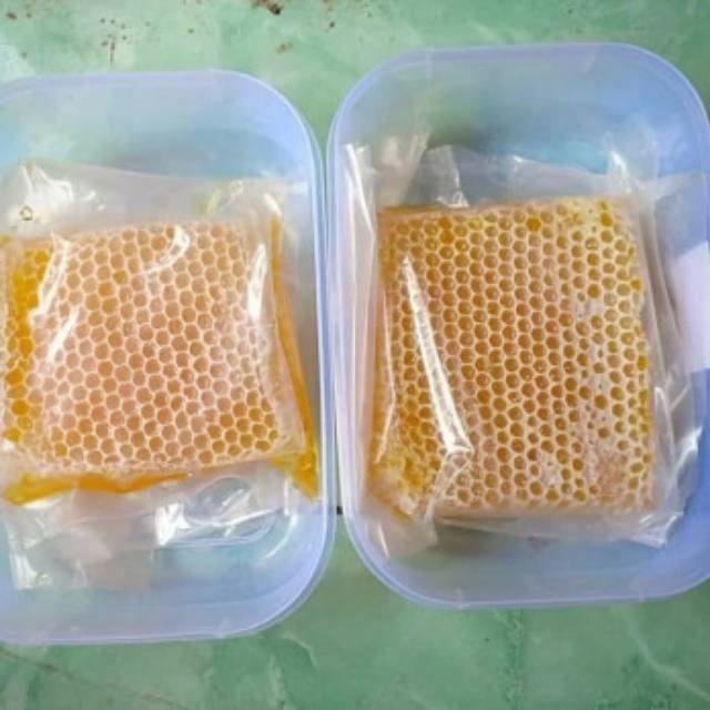 

MADU SARANG MALIFERA ASLI MURNI 500 GRAM