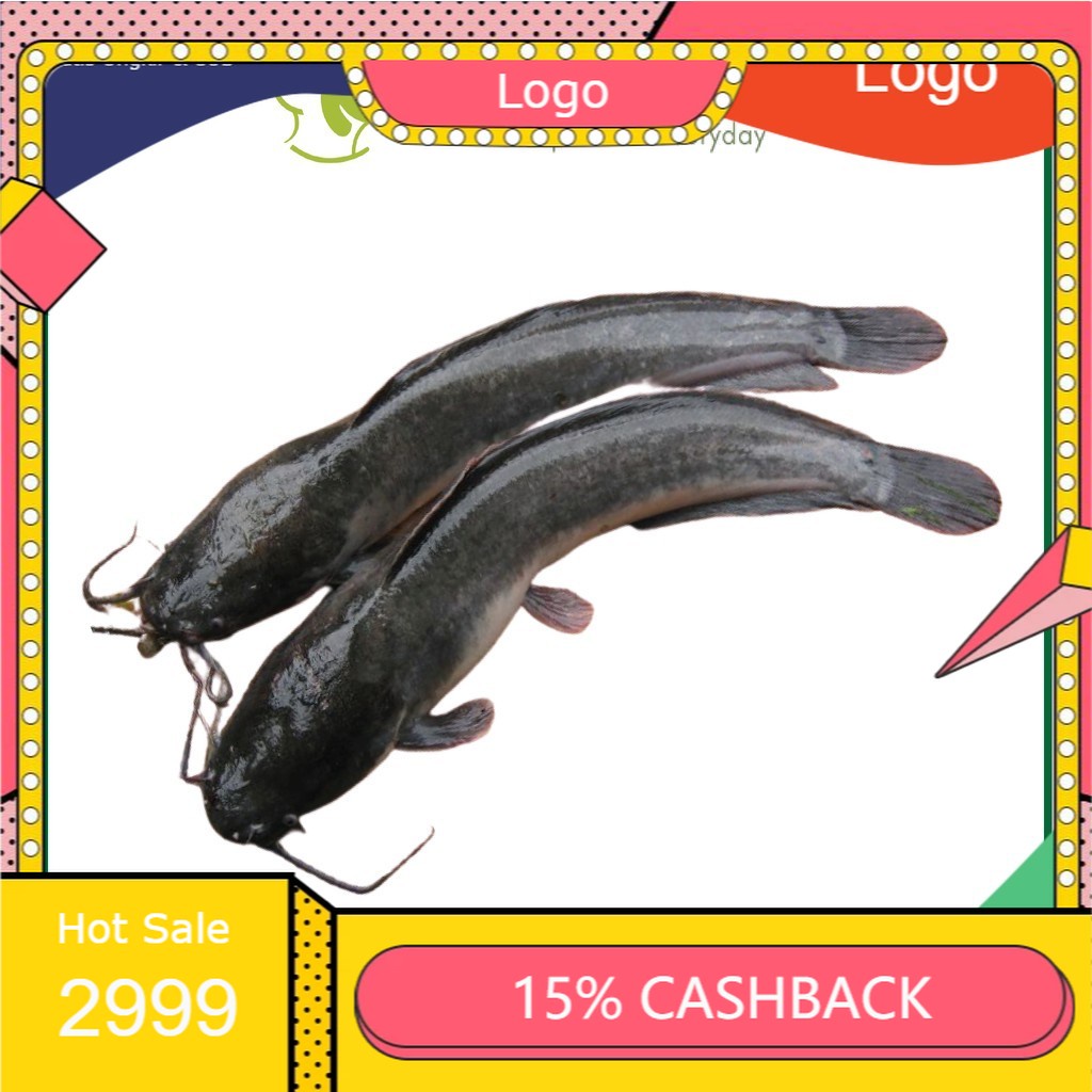 

Lele 500 gram - 1 kg Surabaya